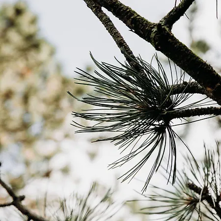 Bergen1928 Bed & Breakfast 4*