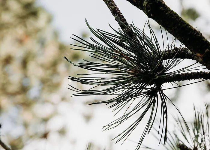 Bergen1928 Bed & Breakfast 4*